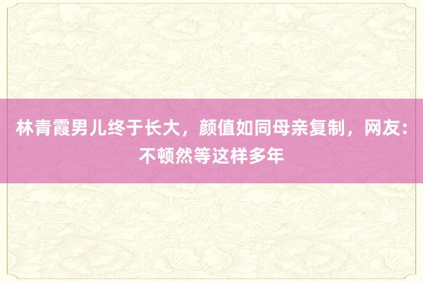 林青霞男儿终于长大，颜值如同母亲复制，网友：不顿然等这样多年