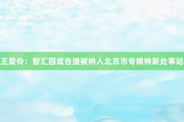 王爱伶：智汇园或告捷被纳入北京市专精特新处事站