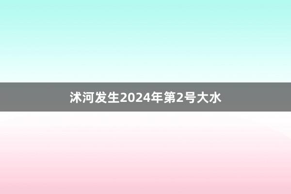 沭河发生2024年第2号大水