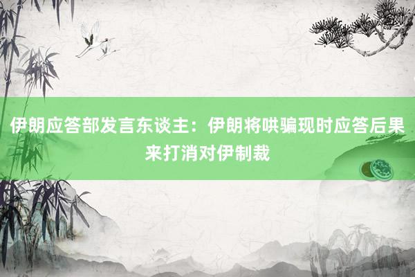 伊朗应答部发言东谈主：伊朗将哄骗现时应答后果来打消对伊制裁