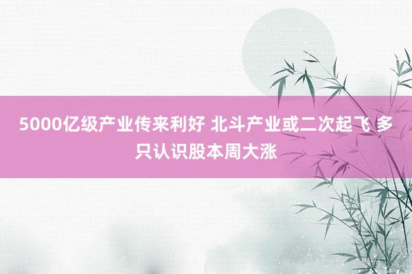 5000亿级产业传来利好 北斗产业或二次起飞 多只认识股本周大涨