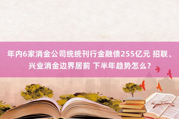 年内6家消金公司统统刊行金融债255亿元 招联、兴业消金边界居前 下半年趋势怎么？