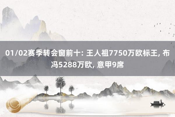 01/02赛季转会窗前十: 王人祖7750万欧标王, 布冯5288万欧, 意甲9席