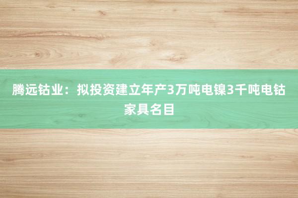 腾远钴业：拟投资建立年产3万吨电镍3千吨电钴家具名目