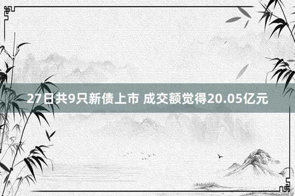 27日共9只新债上市 成交额觉得20.05亿元