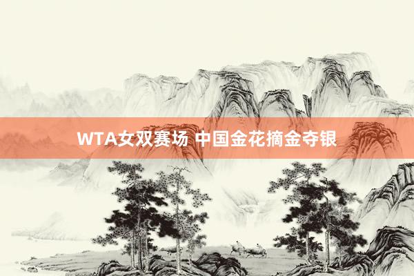 WTA女双赛场 中国金花摘金夺银