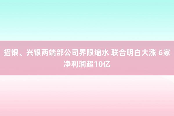 招银、兴银两端部公司界限缩水 联合明白大涨 6家净利润超10亿