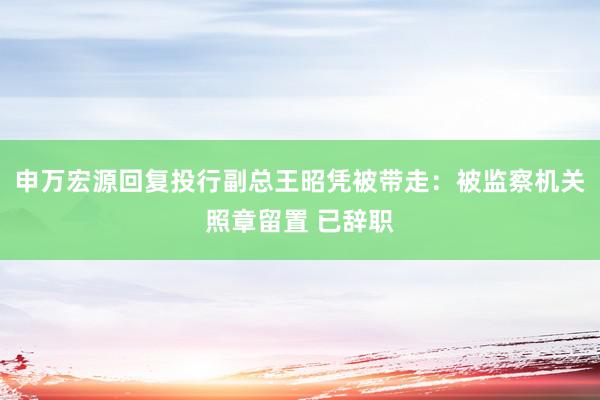 申万宏源回复投行副总王昭凭被带走：被监察机关照章留置 已辞职