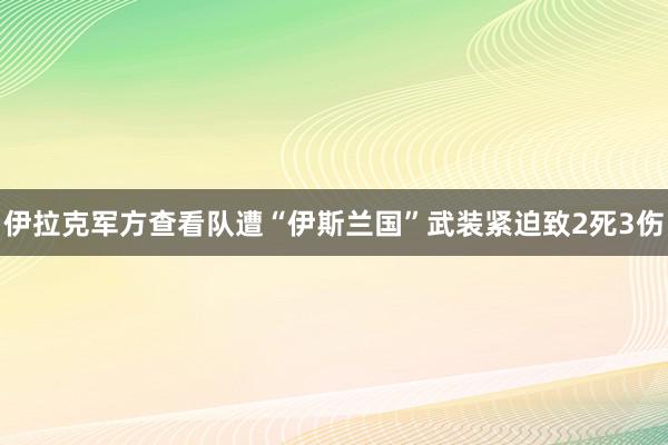 伊拉克军方查看队遭“伊斯兰国”武装紧迫致2死3伤