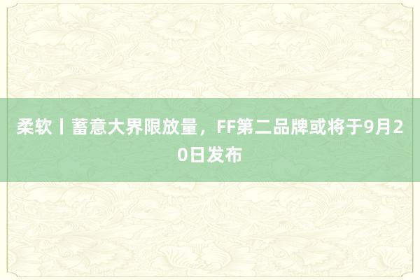 柔软丨蓄意大界限放量，FF第二品牌或将于9月20日发布