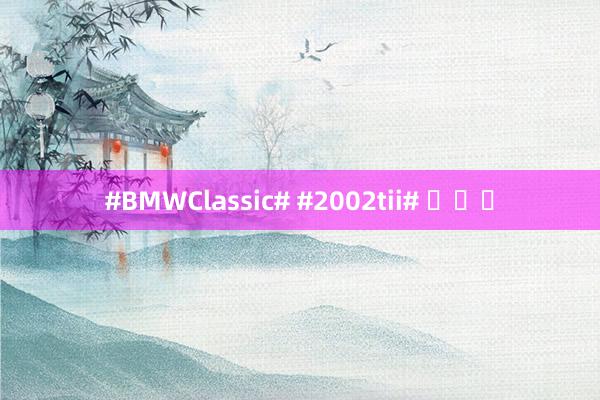 #BMWClassic# #2002tii# ​​​