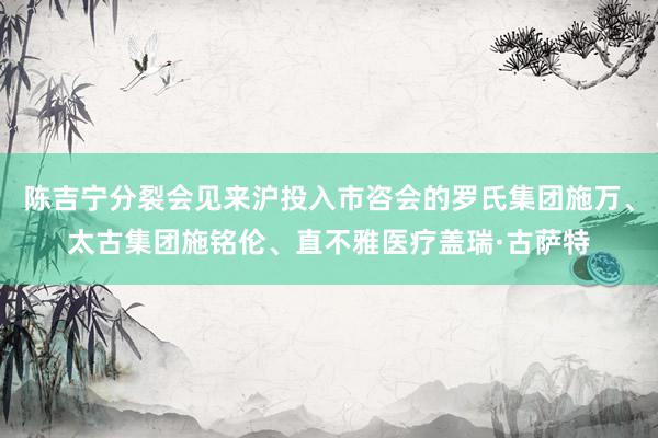 陈吉宁分裂会见来沪投入市咨会的罗氏集团施万、太古集团施铭伦、直不雅医疗盖瑞·古萨特