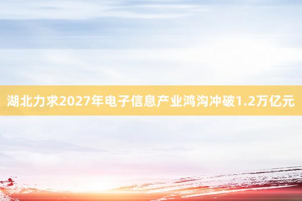 湖北力求2027年电子信息产业鸿沟冲破1.2万亿元