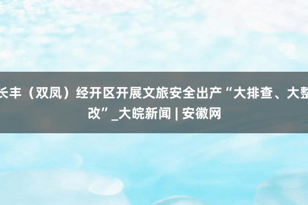 长丰（双凤）经开区开展文旅安全出产“大排查、大整改”_大皖新闻 | 安徽网